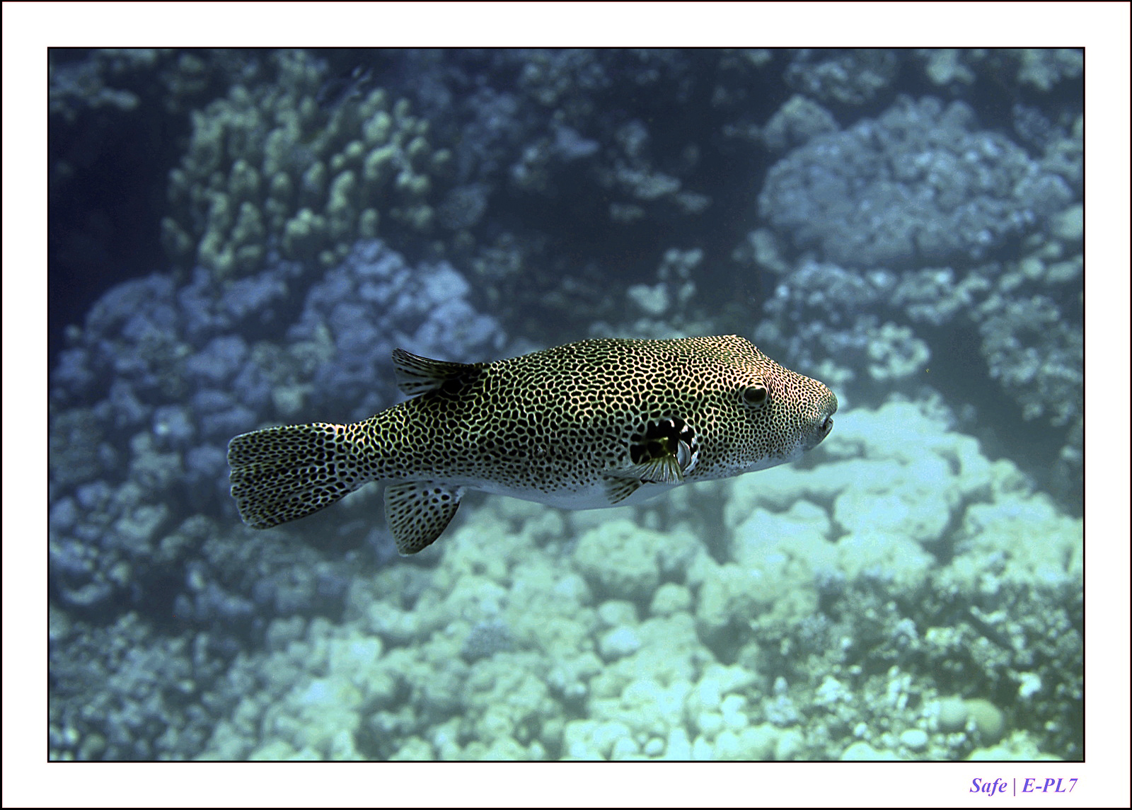 Hurghada - Juillet 2021 - 086